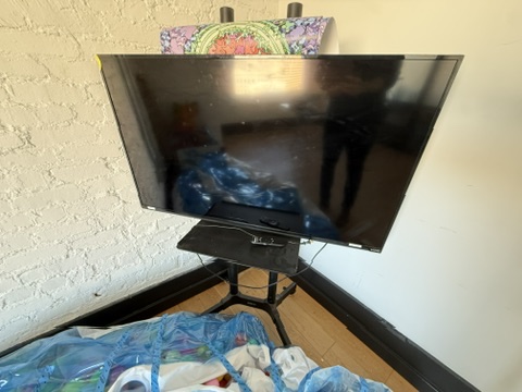 TV on rolling stand
